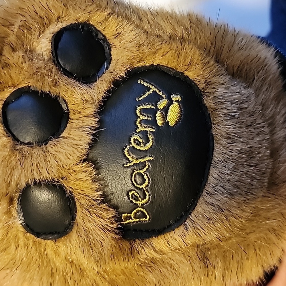 Talking Bearemy bear from Build-a-Bear. - Picture 6 of 6